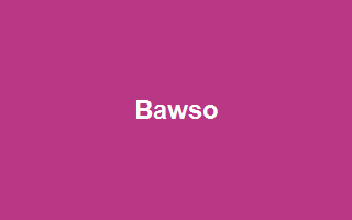 Bawso